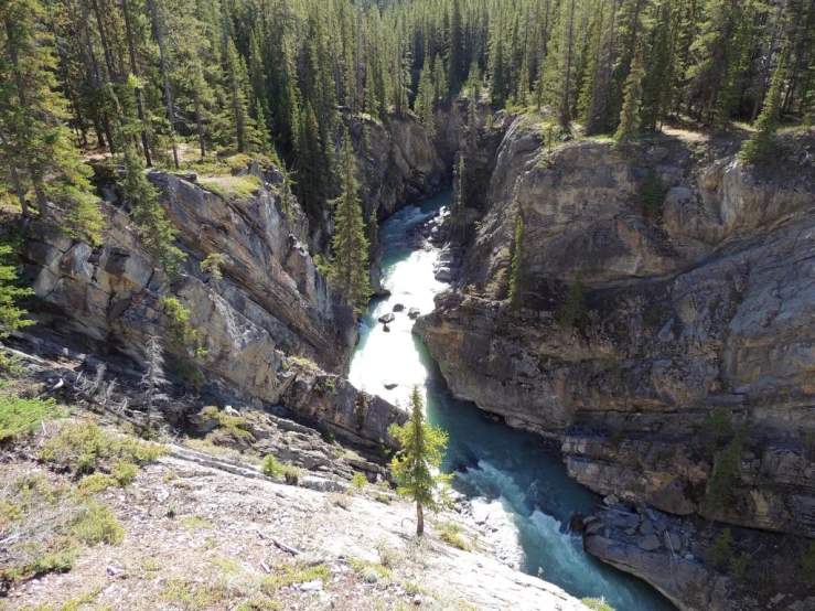 a narrow river below the cliffs next to a forest