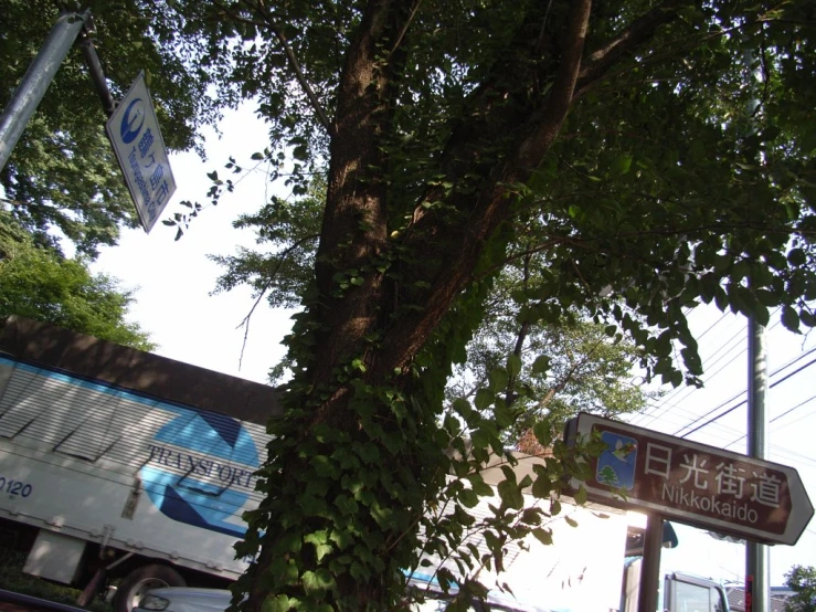 a street sign near the side of a tree