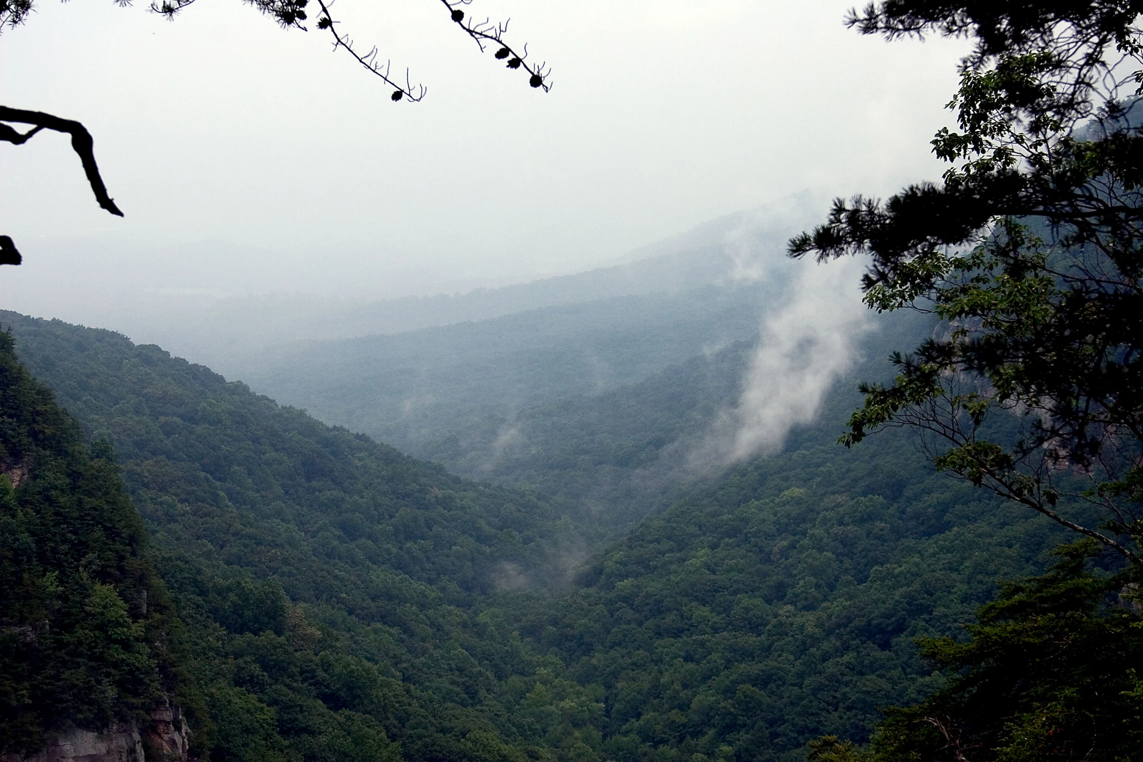 fog and low lying clouds hang over a mountain valley