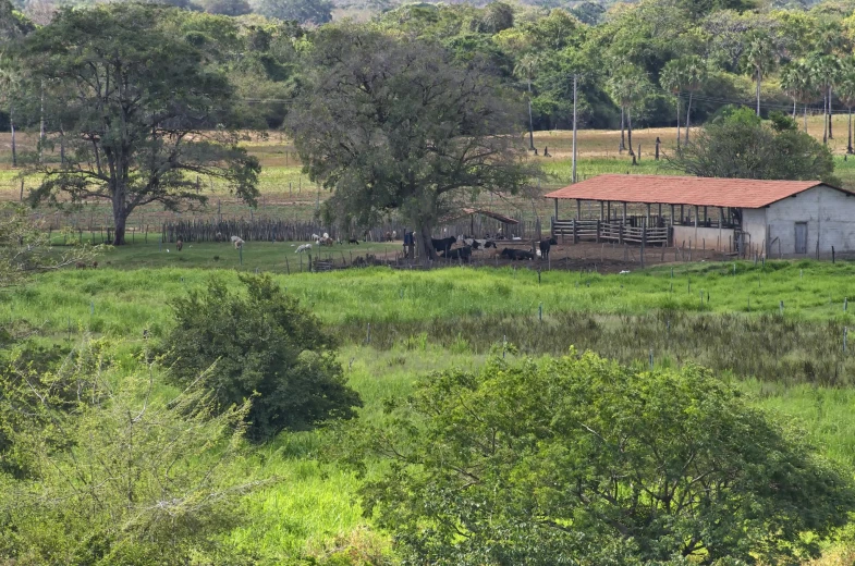 an old farm house is sitting in a field