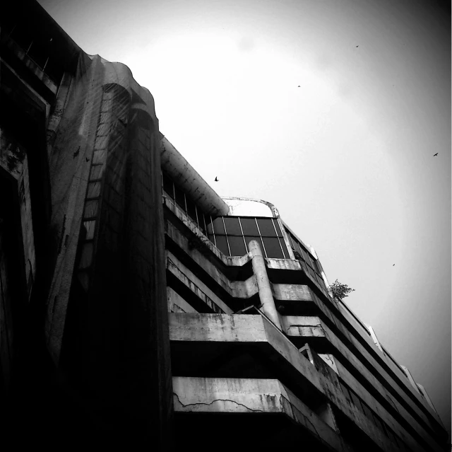 birds flying by on an overcast day in front of a tall building