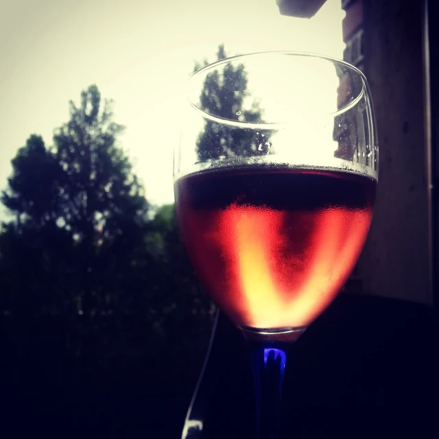 a glass of wine sits in the window