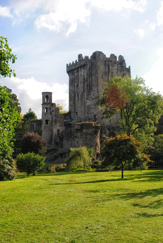 an old castle with trees and bushes near by