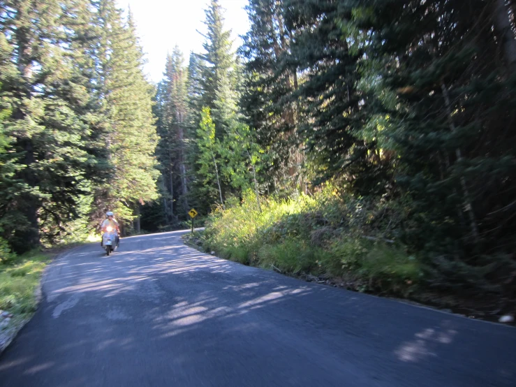 a man rides a motorcycle on a small road in the woods