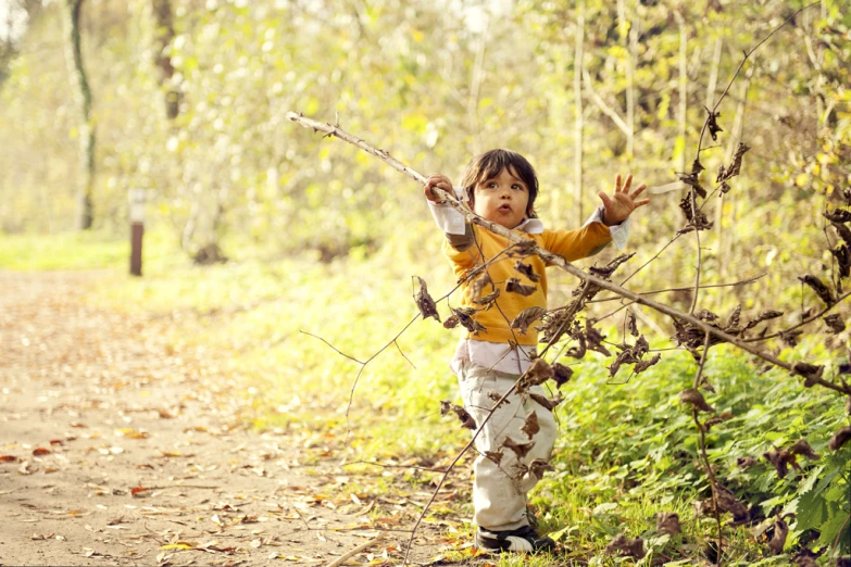 little girl reaching up towards nch in forest