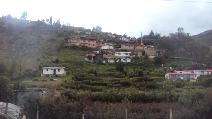 some houses on top of the hill with trees in the foreground