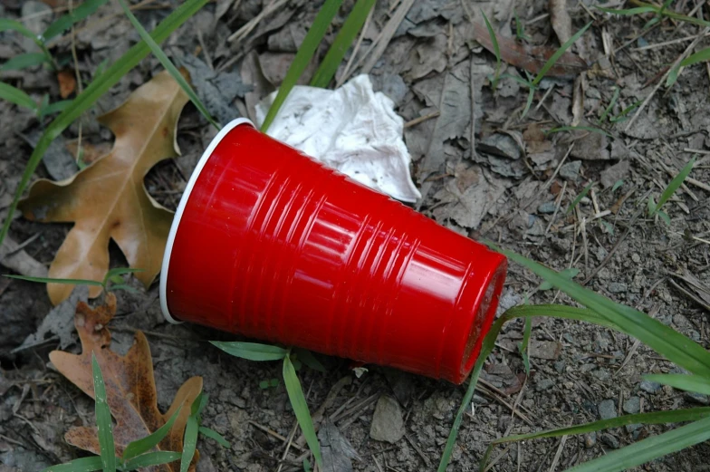 a red can on the ground next to fallen leaves