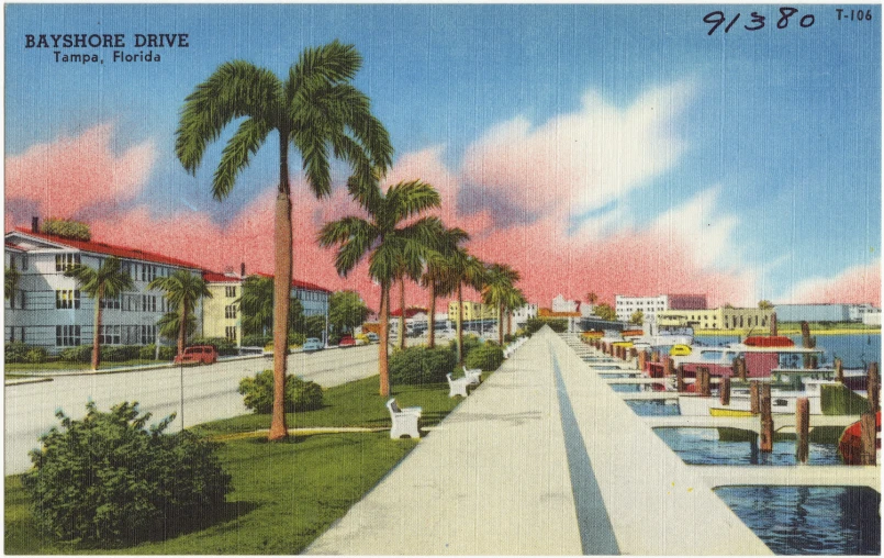 an old postcard showing palm trees in the foreground, along a waterfront walkway and boats moored to the side