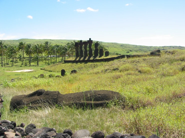 a few elephants walking around a field and some rocks