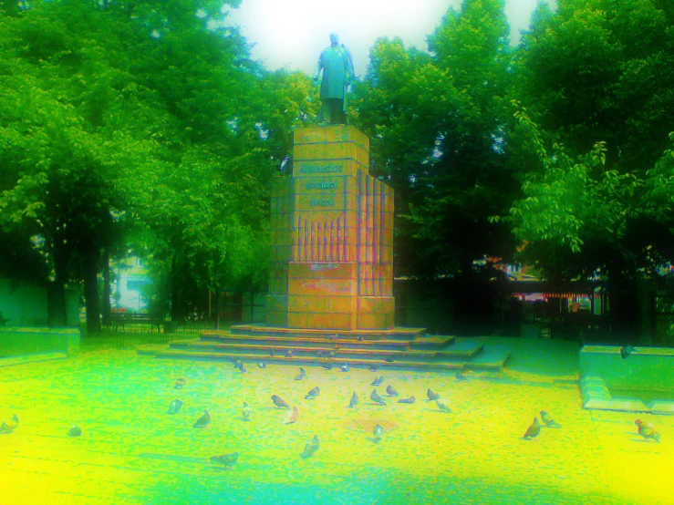 a blurry image shows birds around the memorial