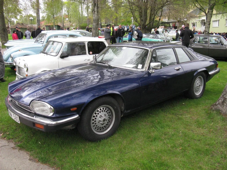 classic british cars lined up in the grass near some trees