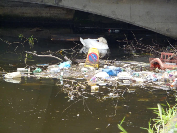the garbage is placed next to a bridge