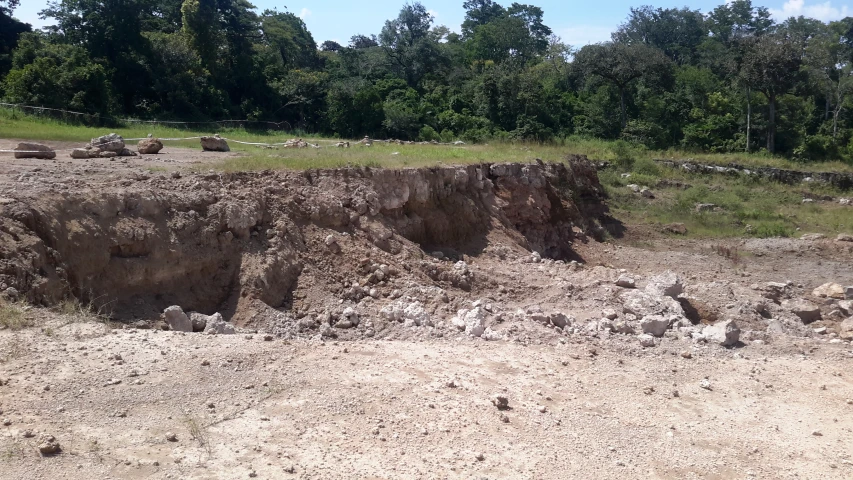 a large  in the ground in front of some trees