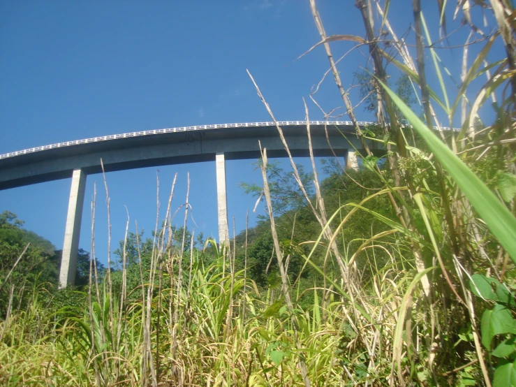 the view is of a highway in a park