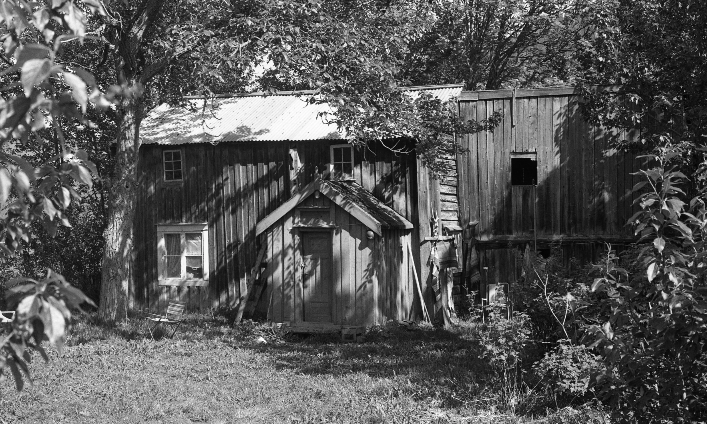 black and white po of an old shack in the woods