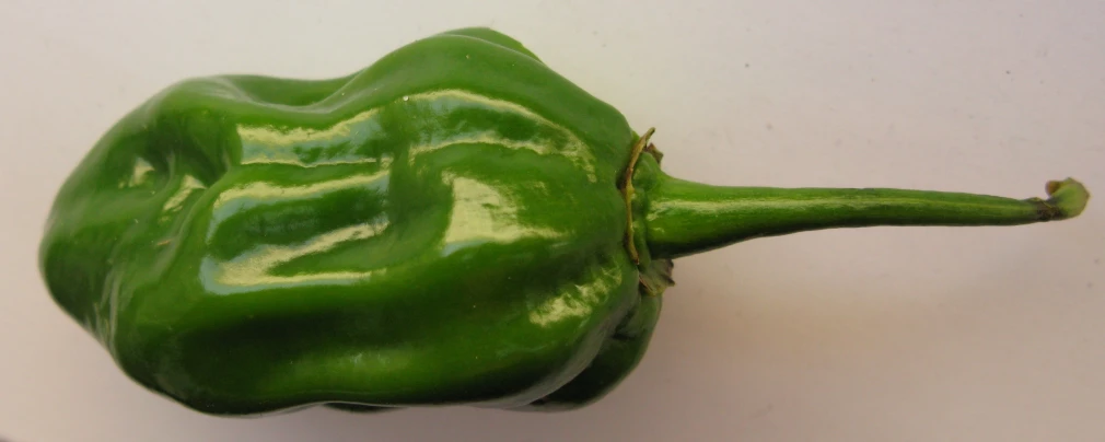 a green bell pepper is seen from above