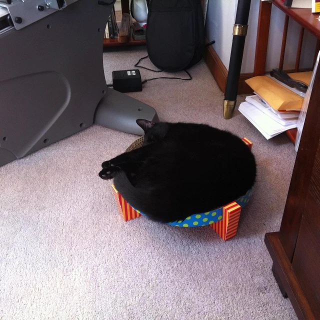 a black cat sleeping in a small basket on the floor