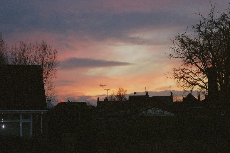 a sunset in the distance, with a tree in the foreground