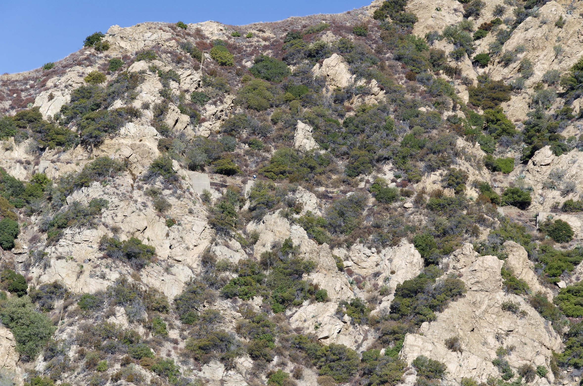 many trees on the sides of a rock hill