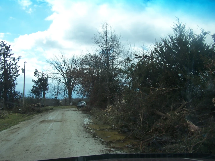 this picture shows a bunch of trees blocking the road