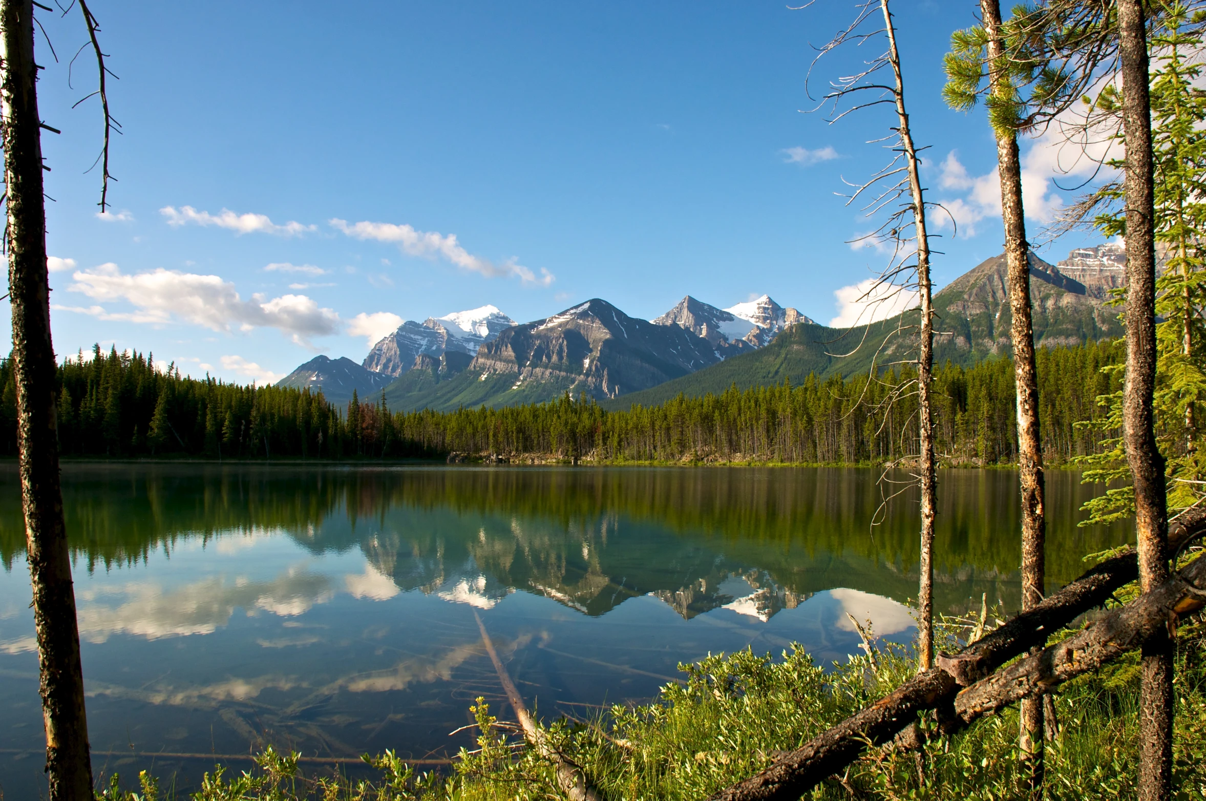 a view of a beautiful lake surrounded by trees