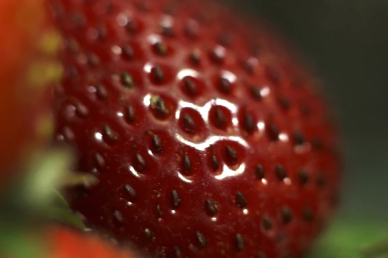 a close up of a strawberry, with a blurry background