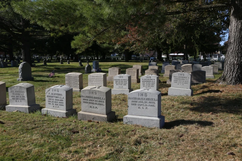 a row of headstones are in a park