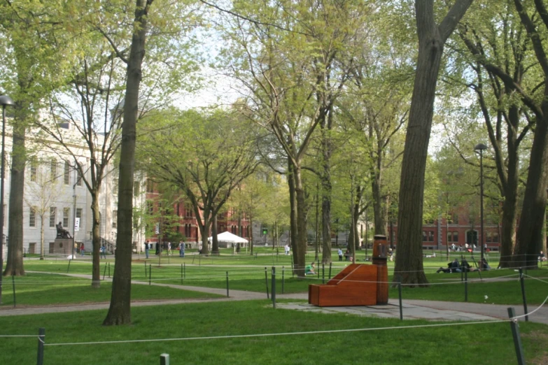 a grassy area with trees, a bench and a small ramp