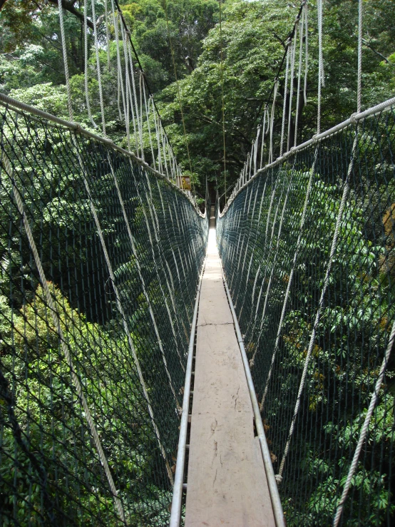 a suspension bridge over a green jungle in the middle of a walkway