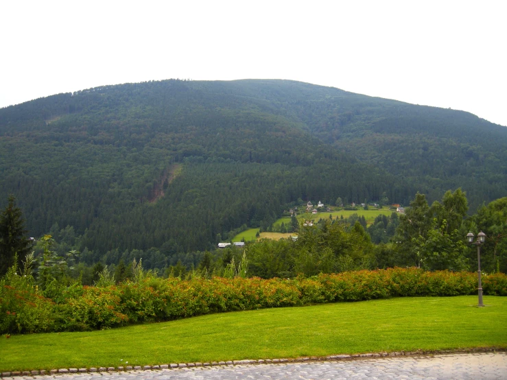 a lush green hillside sits below a tall mountain