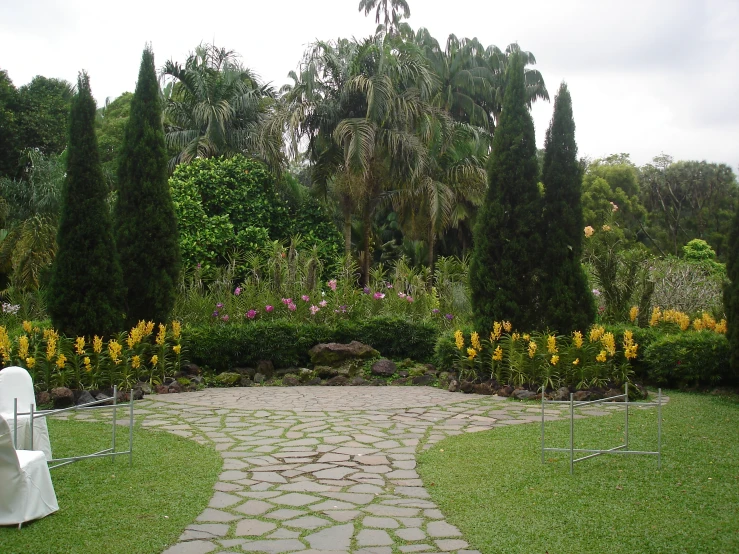 a garden filled with lots of plants and flowers