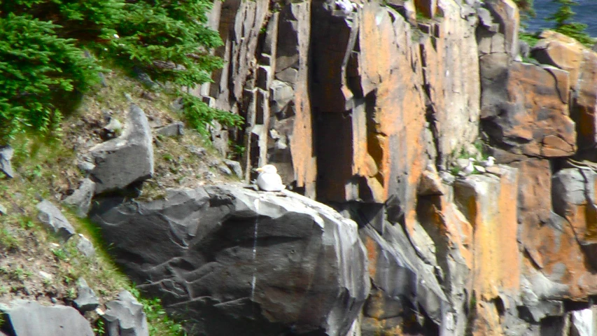 a rock climb has a stone ledge with some plants on top