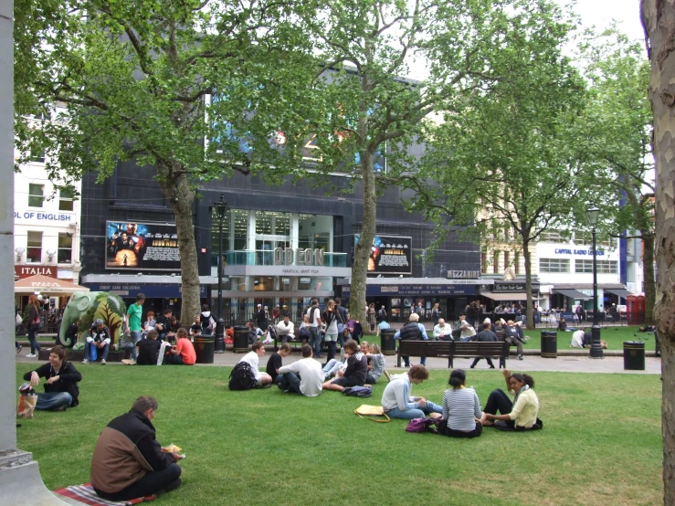 a group of people sitting on the grass