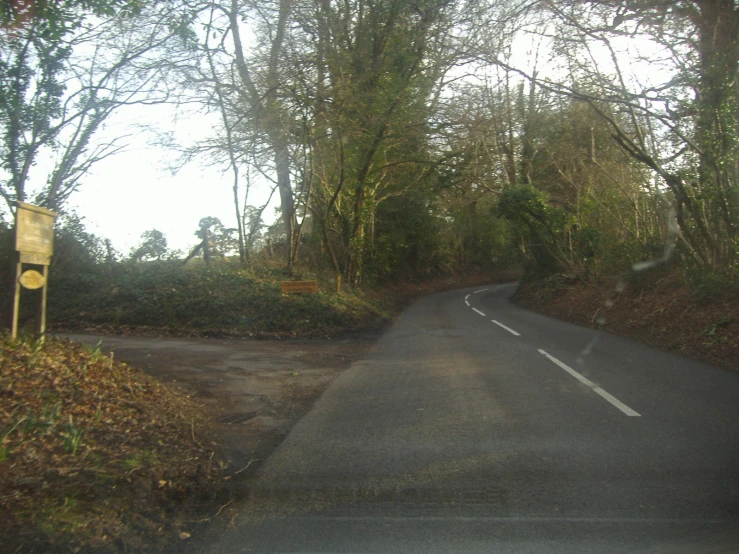 a deserted road in a wooded area near trees