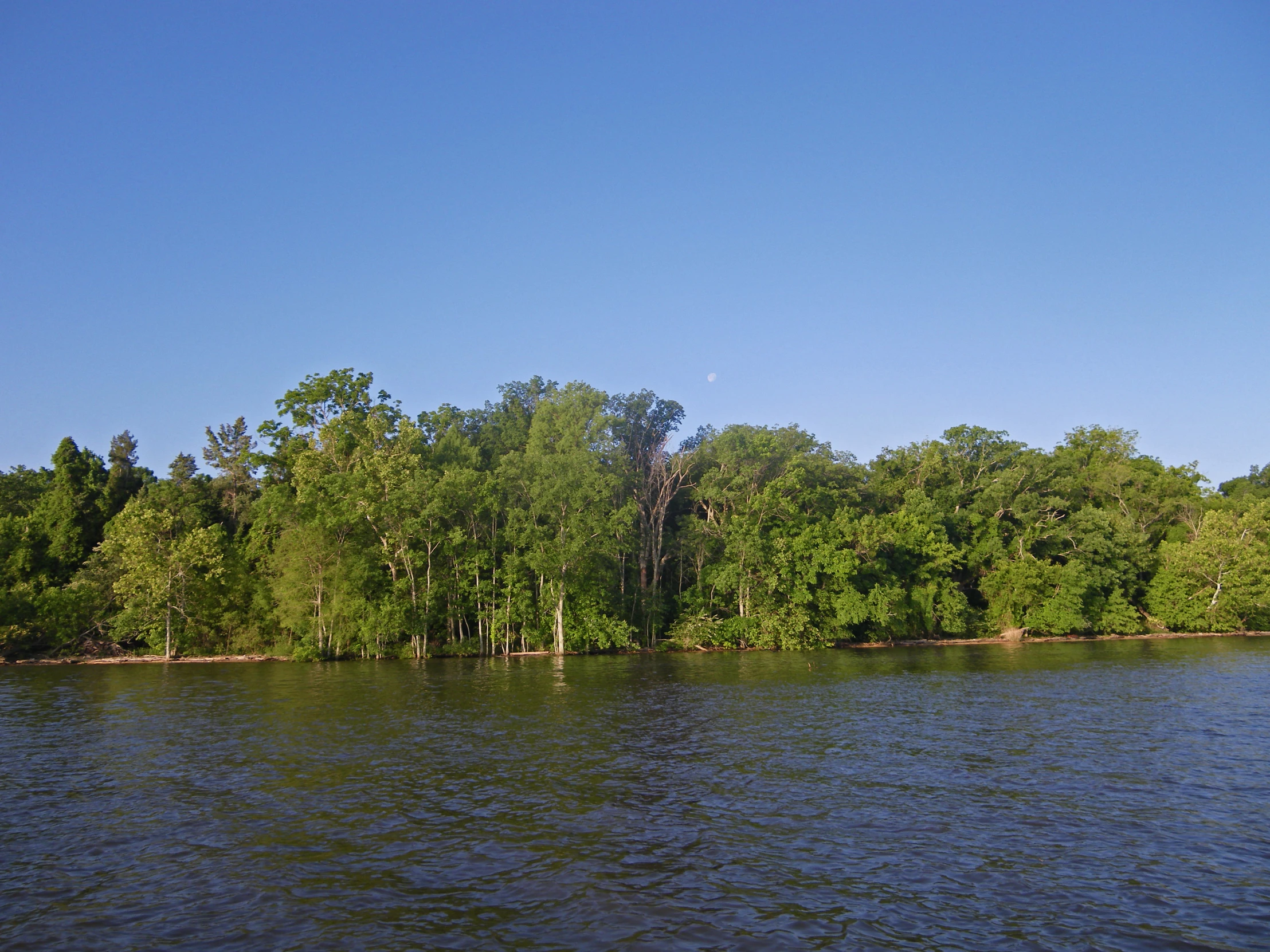 a view of a lake with some trees