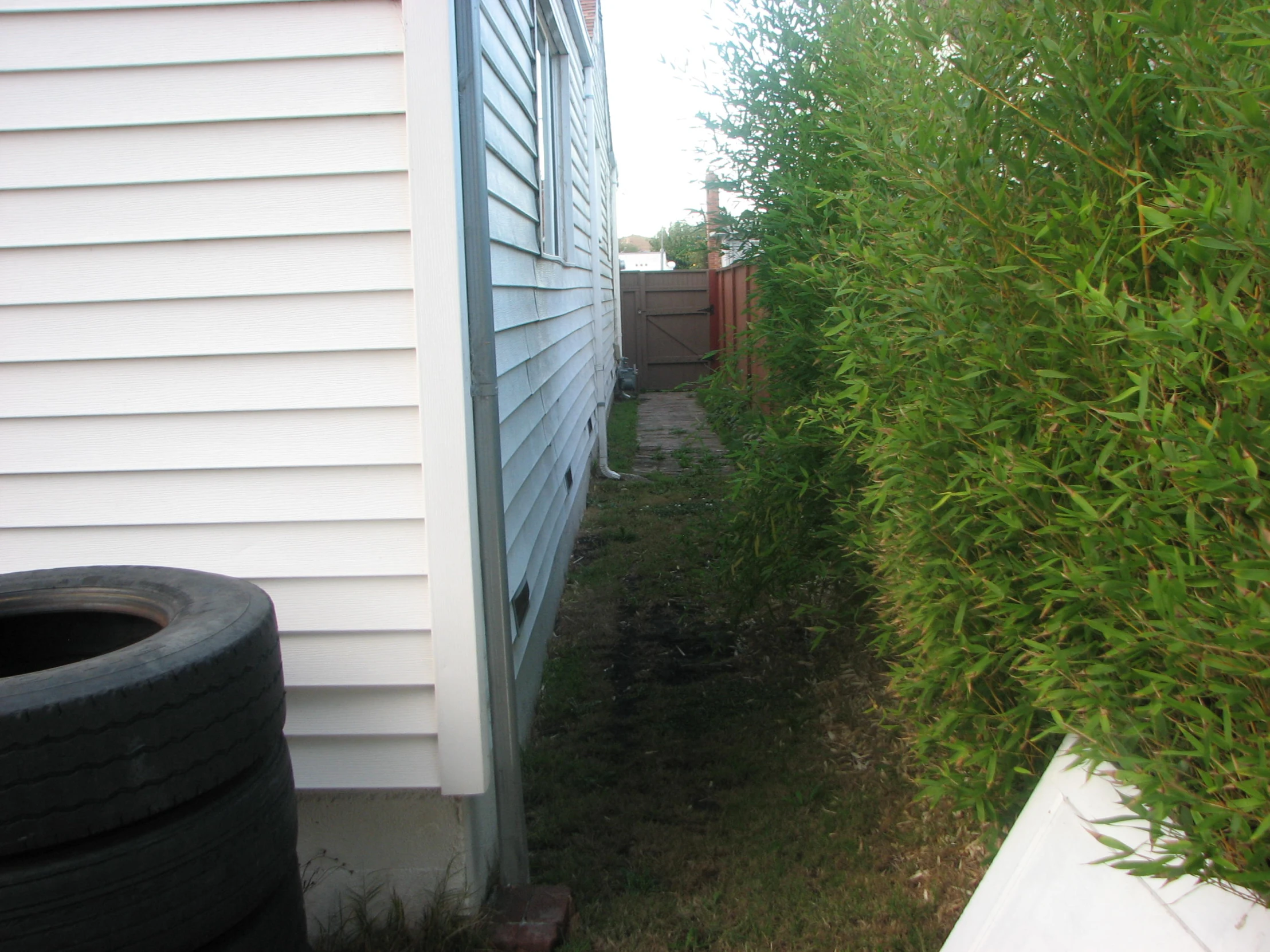 the front of the house is blocked by the hedge