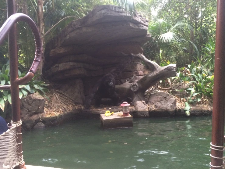 a group of people playing in a body of water near some rocks