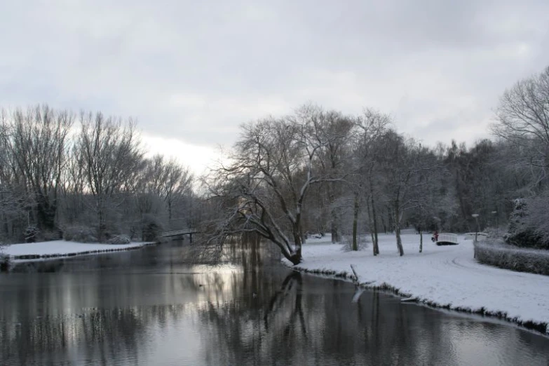 a body of water surrounded by trees with snow on the ground