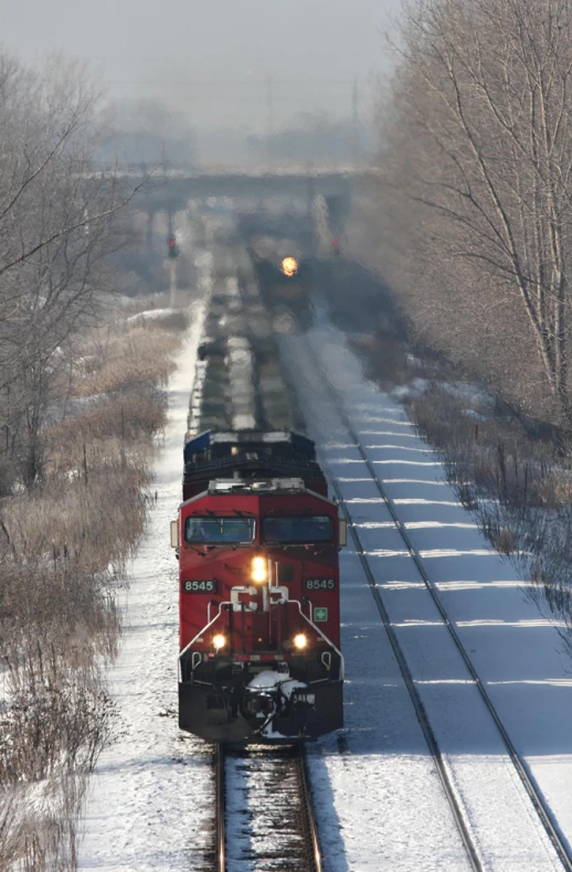 a train traveling down tracks in winter with trees and bushes behind