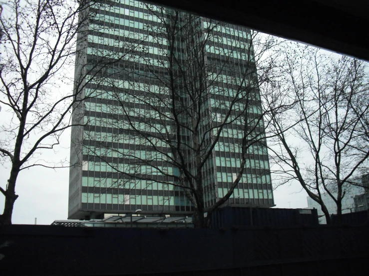 a building with trees and nches in front of it