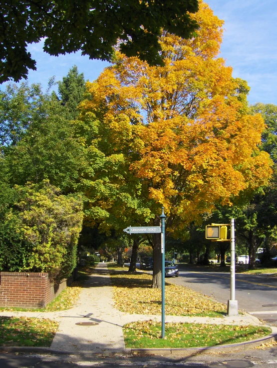 two signs sit next to a road and a yellow tree