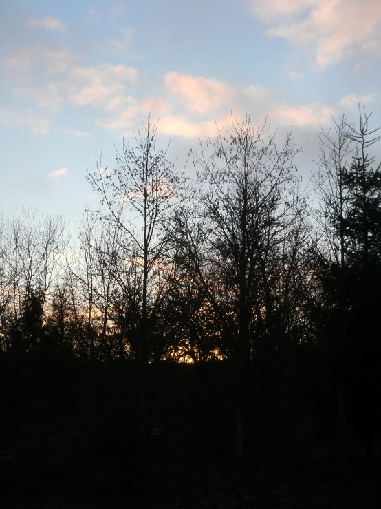 a sky with clouds in the background and trees all around