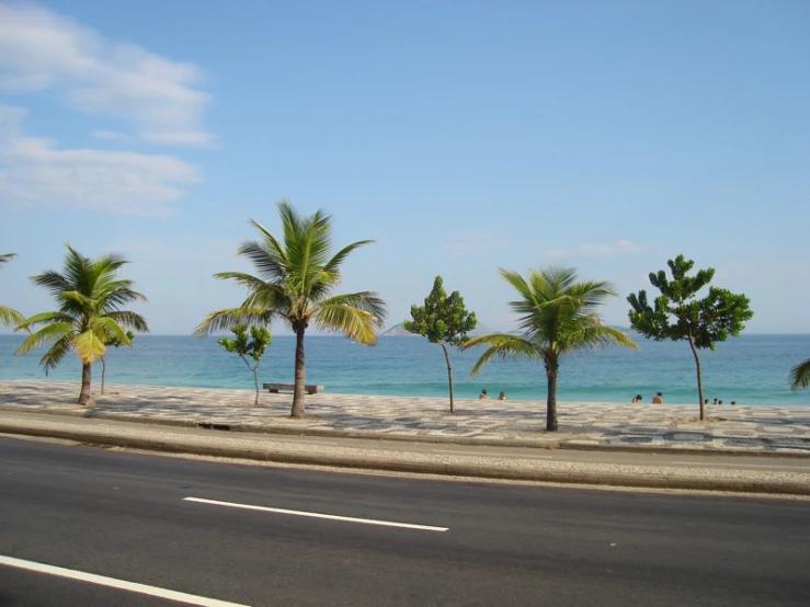 a street leading to the beach with palm trees along it