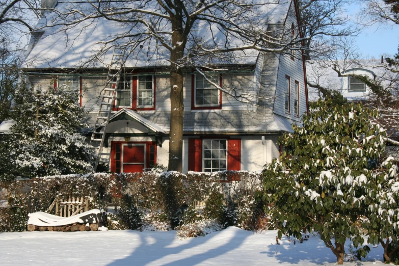 a snow covered tree and shrub next to a building