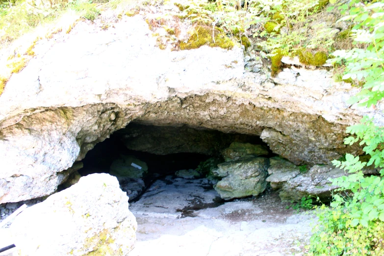 a cave entrance that is near a tree and grass