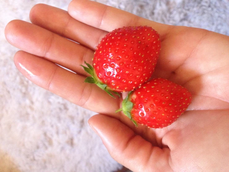 two red strawberries with green leaves on top of someones hand