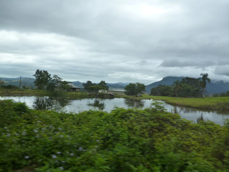 a body of water that is surrounded by lush vegetation