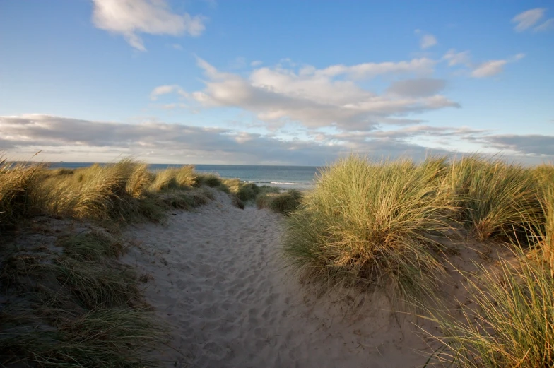 an ocean beach has sand and grass near it