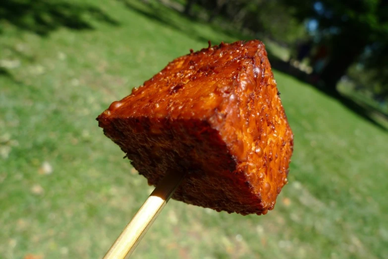 a piece of bread sitting on a stick
