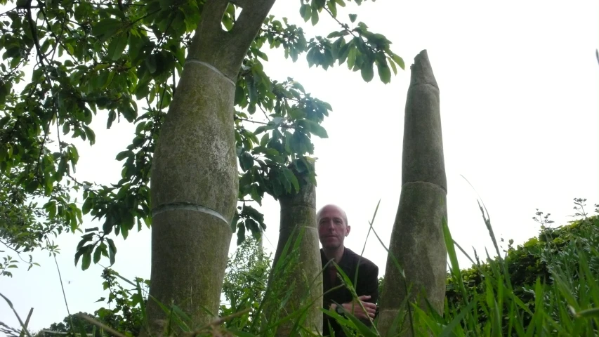 a man standing next to two trees in the grass